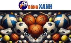 19999y.com Link đăng nhập Bong88 cá cược bóng đá uy tín